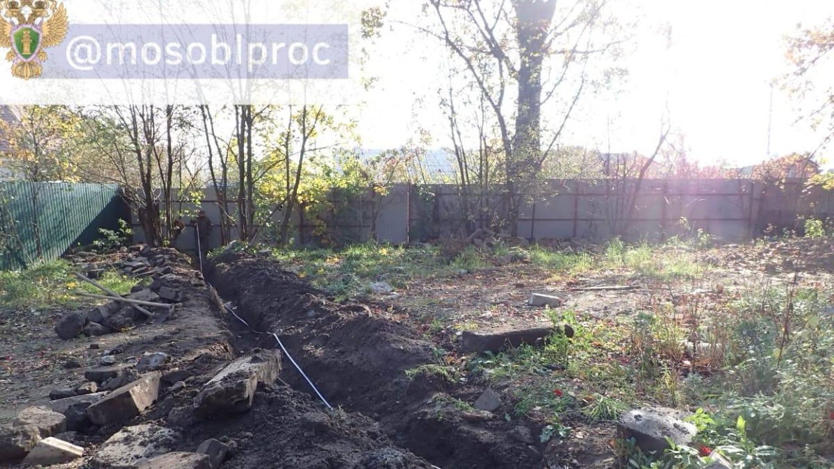 В Подмосковье возбудили дело после порчи почвы в парке «Лосиный остров»