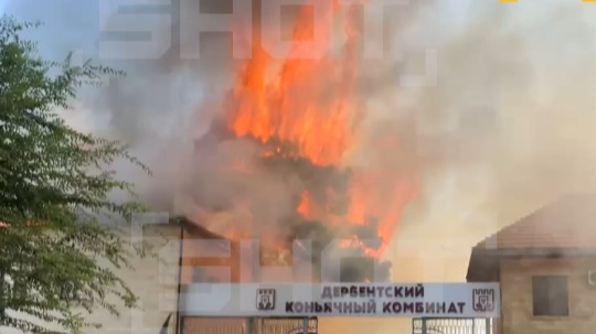 Мощное пламя с коньячного комбината в Дербенте перекинулось на деревья