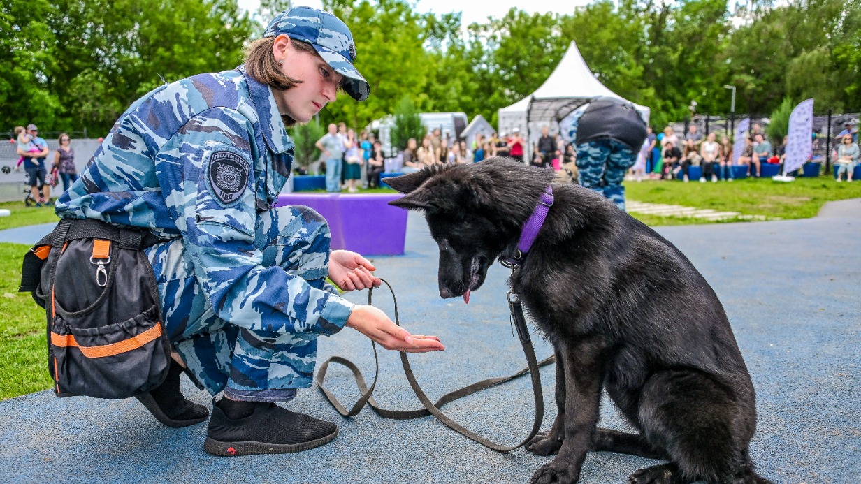 Выходные с пользой: кинологи дадут советы по дрессировке, а фотографы запечатлеют лучшие моменты вместе с питомцами