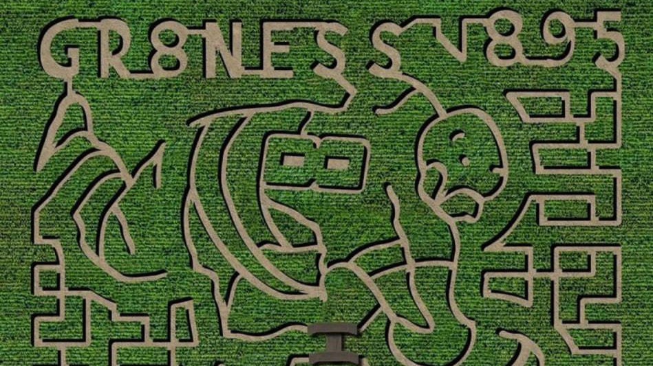 На ферме в США создали огромный лабиринт в честь рекорда Овечкина по голам в НХЛ