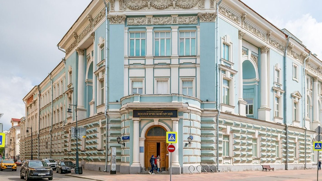 Фасады здания Зоологического музея МГУ отреставрируют до конца года