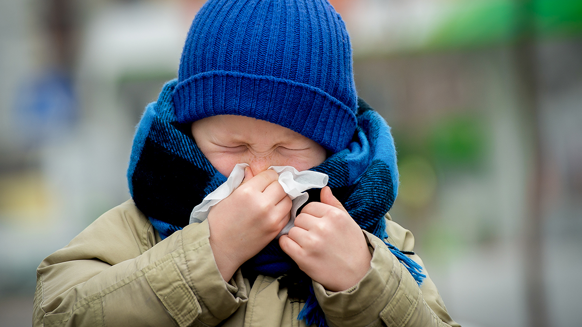 Как быстро вылечить насморк