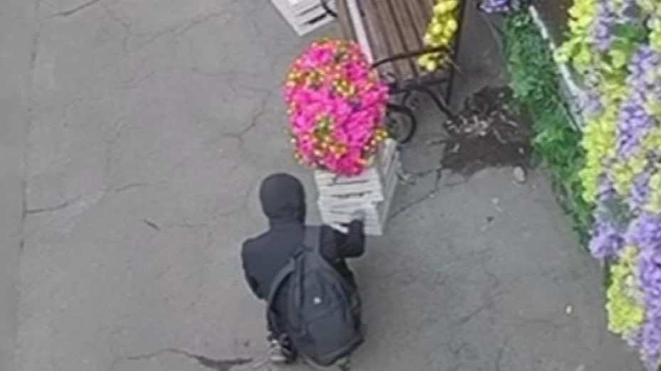 Москвич украл цветочную овечку за 100 тысяч, чтобы подарить родственнице