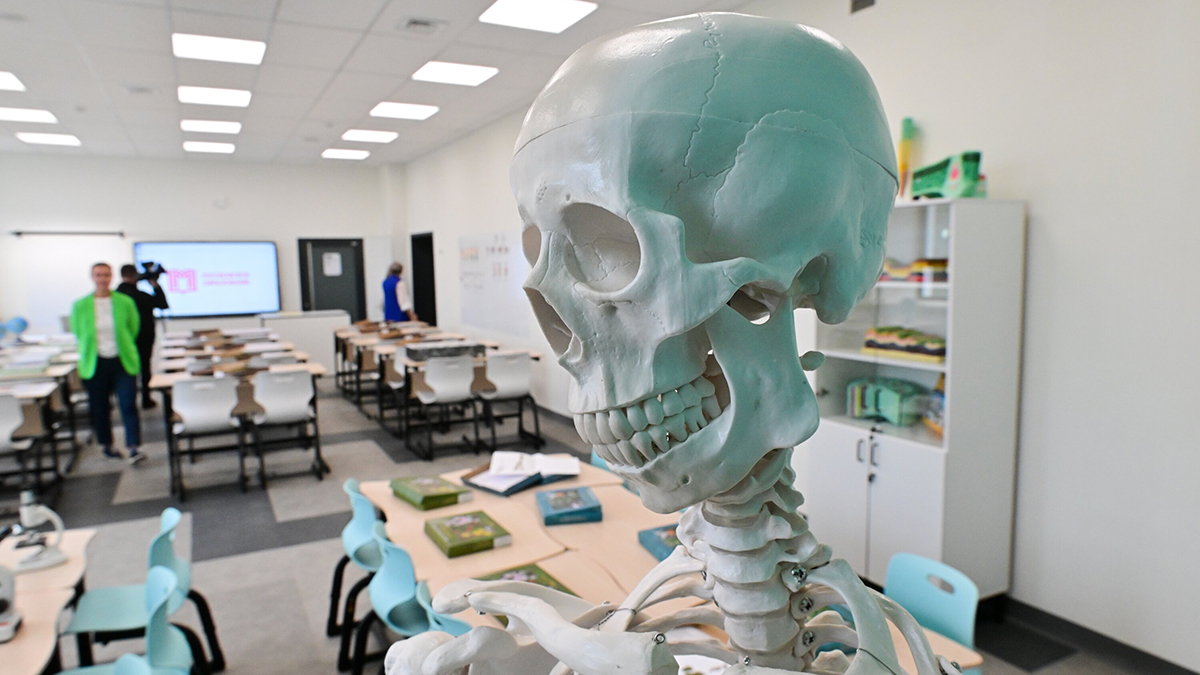 «Ломать — не строить»: в Думе оценили идею 12-летнего обучения в школе