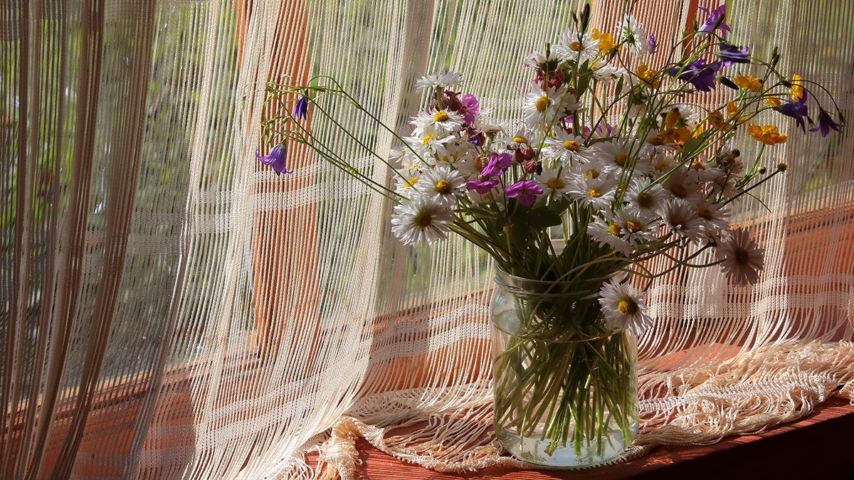 Экономист Капустина: Дачников могут оштрафовать за сжигание листвы осенью