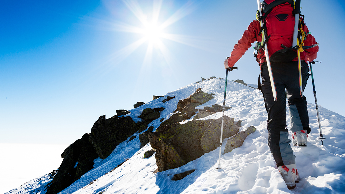 Пропавшего альпиниста из Сочи нашли живым спустя неделю поисков