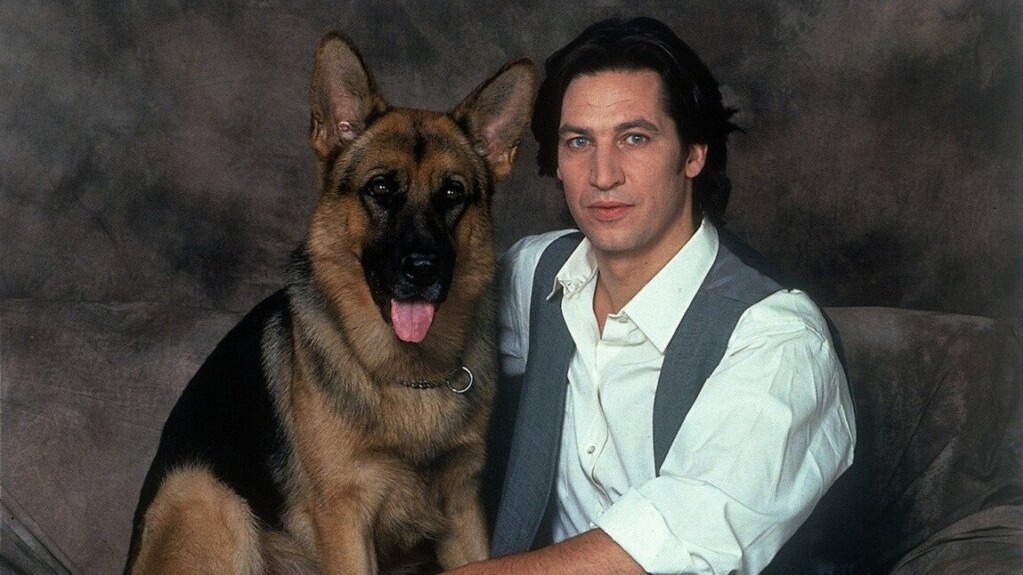 Журналисты выяснили, что не только собака, но и таракан может стать актером