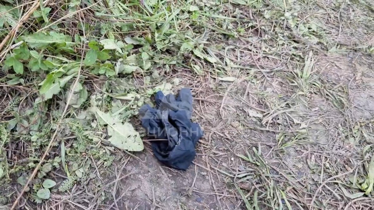 Тело пропавшего 26 августа мальчика нашли в Свердловской области