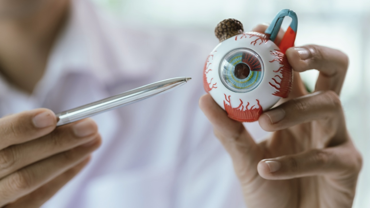 Что такое меланома глаза, симптомы, насколько опасна, можно ли вылечить