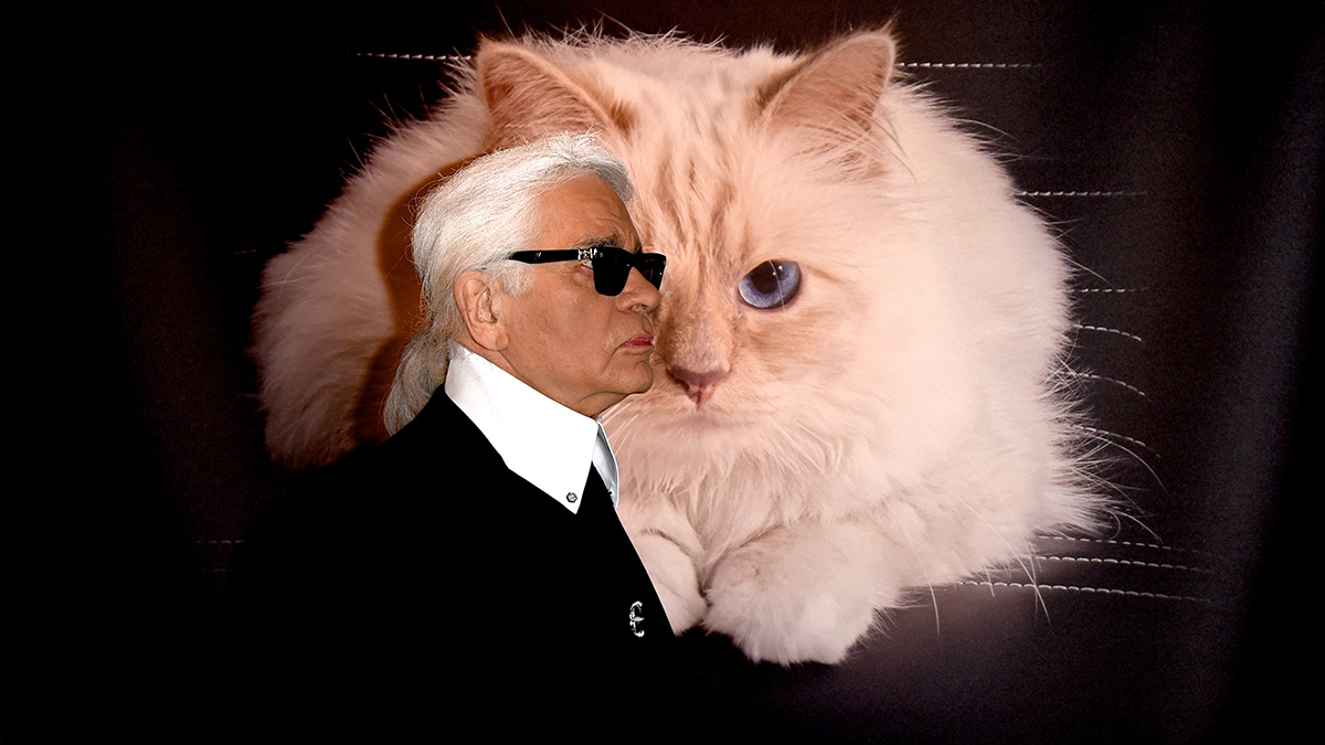 Самые необычные истории о питомцах звезд