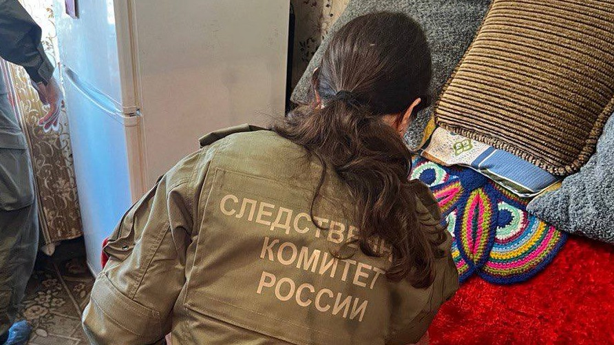 Уголовное дело возбудили после смертельного отравления в Нижегородской области