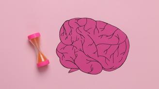 Мыши против Альцгеймера