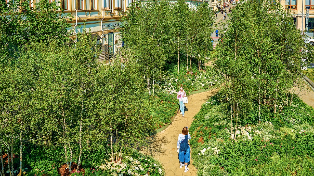 Москва прощается с летними садами: увидеть цветущие шедевры можно до середины сентября