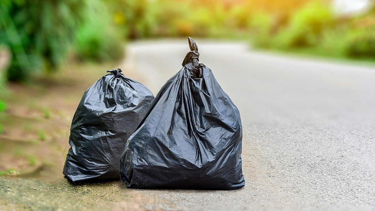 Мешки с фрагментами человеческих тел обнаружили в Мексике