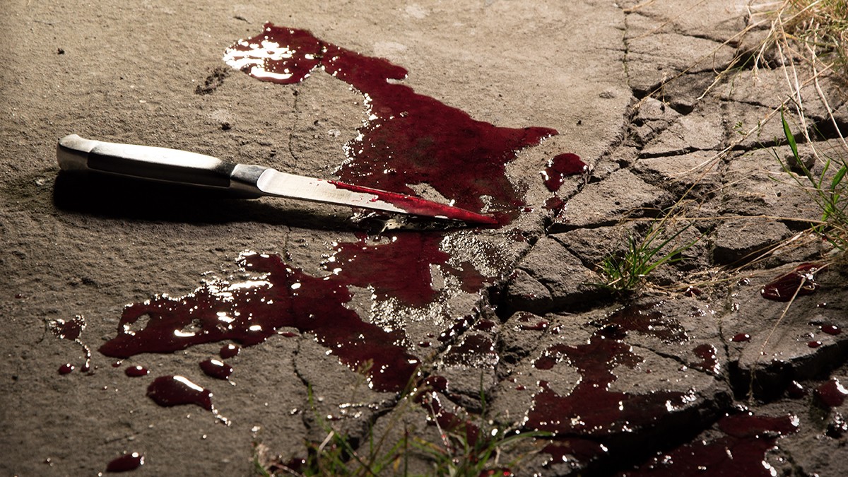 Правоохранители задержали в Подмосковье братоубийцу