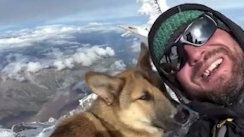 «Бегал как на равнине»: в Сети показали кадры с собакой, покорившей Эльбрус