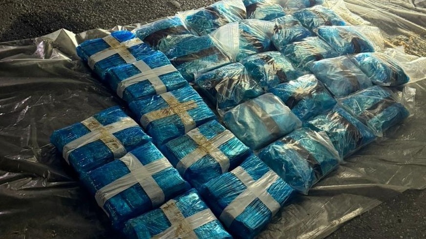 Таможенники в Подмосковье предотвратили ввоз наркотиков под видом яблок