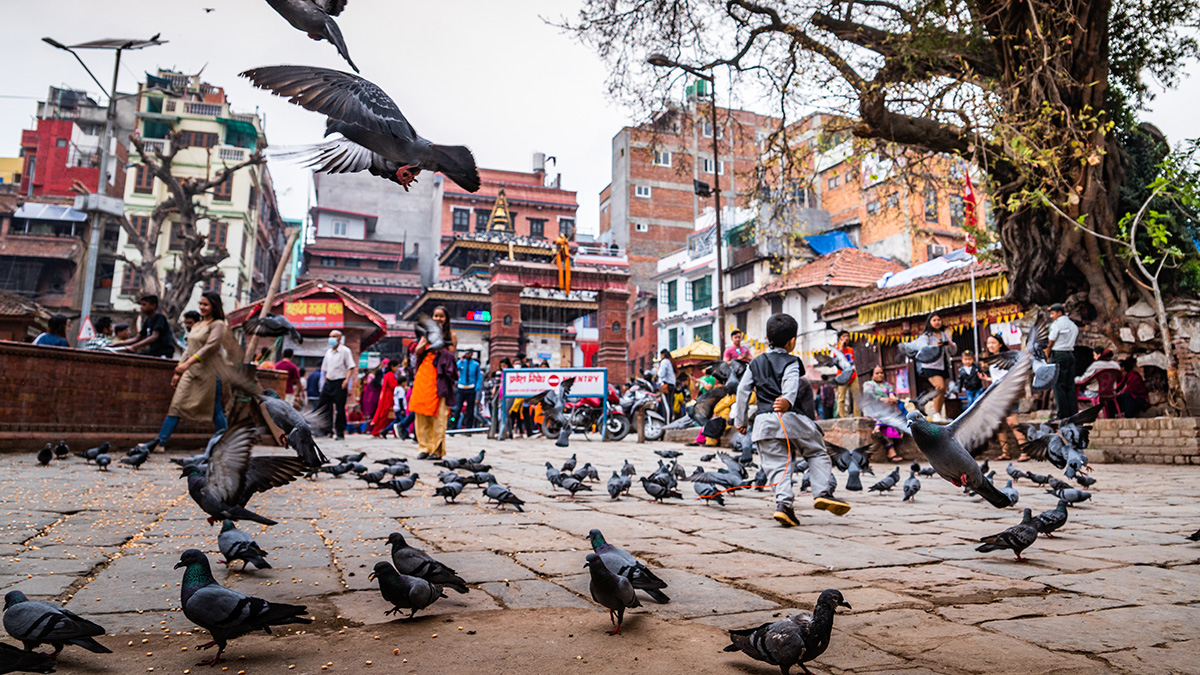 Российские туристы массово отменяют путевки в Непал из-за революции в стране