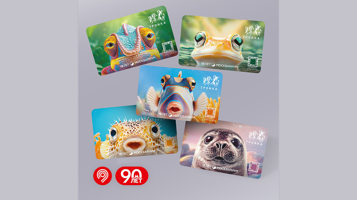 Дептранс выпустил карты «Тройка» с рыбами, хамелеоном и нерпой