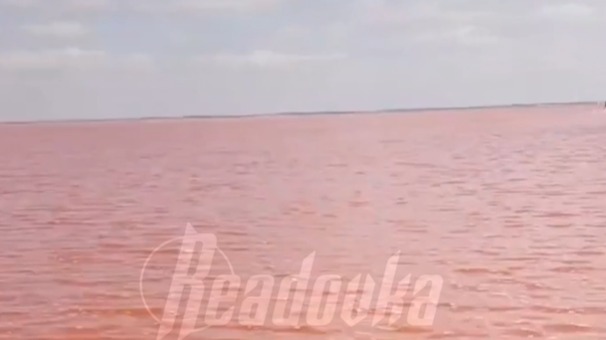 Розовое озеро Сасык-Сиваш «ожило» в Крыму и наполнилось водой