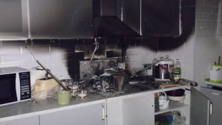 Кот прошелся по сенсорной плите и чуть не спалил квартиру в Санкт-Петербурге