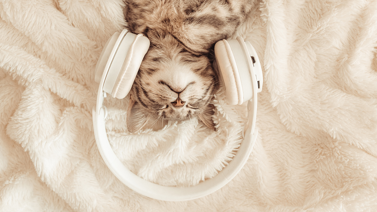 Праздники 1 октября