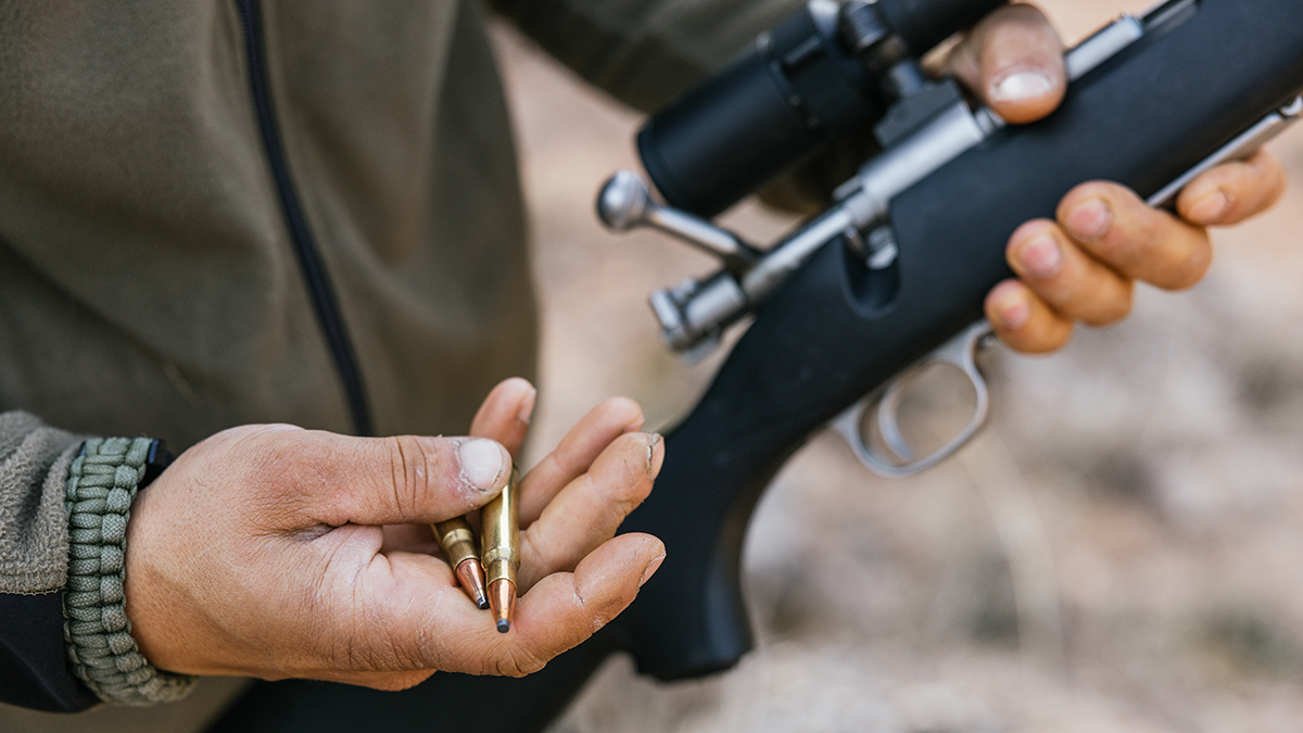 Как повысятся охотничьи сборы с 2026 года