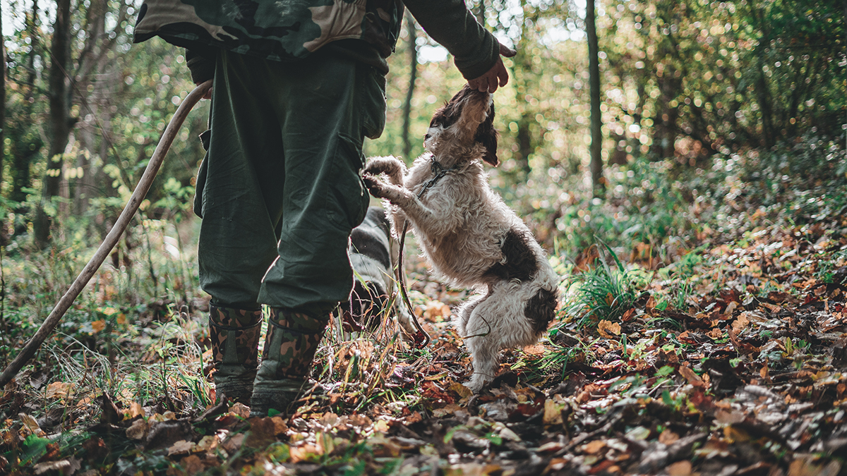 68c81a7582682c55b25ac38b Народный календарь. Как охотникам привлечь удачу 25 сентября