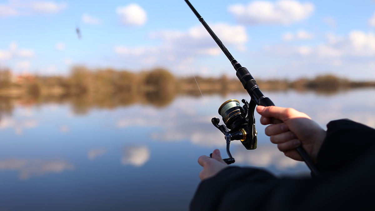 Подросток поймал 19-килограммовую «рыбу мечты» под Краснодаром