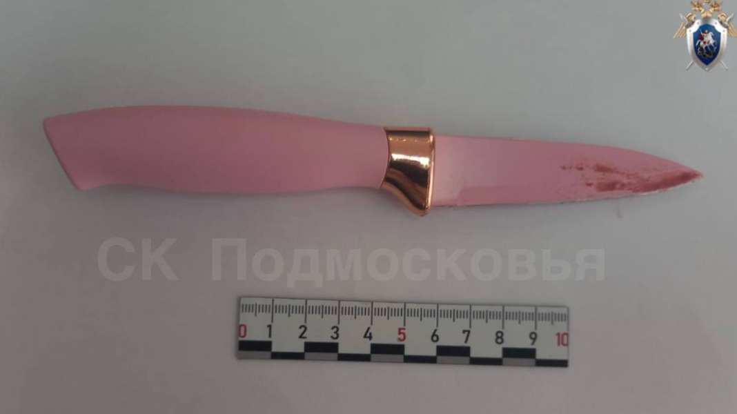 Житель Подмосковья зарезал своего знакомого во время совместной попойки