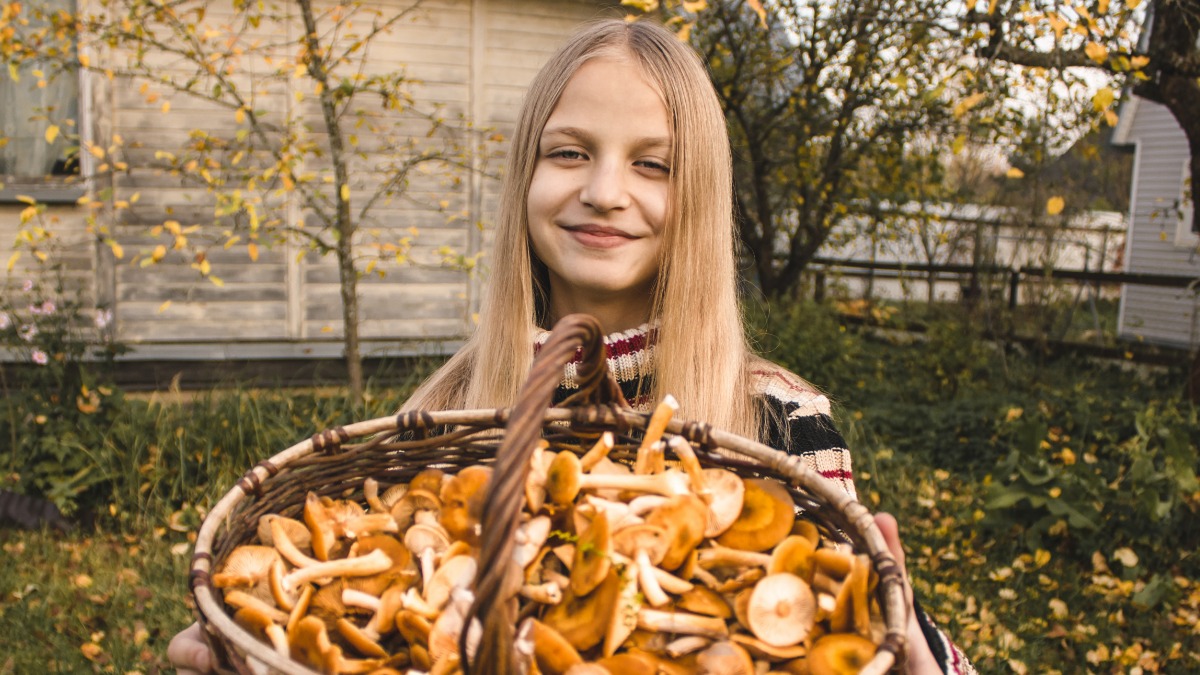 Истинные любители тихой охоты в любой сезон вернутся домой с полными корзинами, а уж сентябрь для них — идеальное время