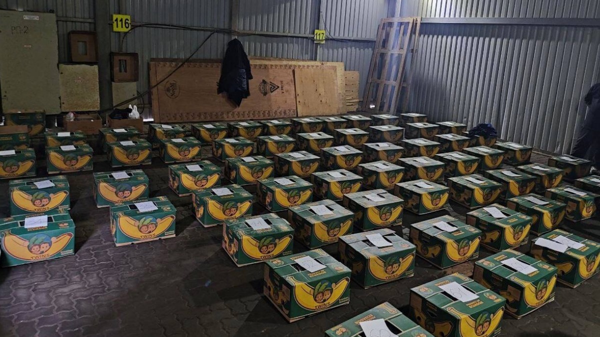 Рекордную партию в 1,5 тонны кокаина из Эквадора задержали в порту Петербурга