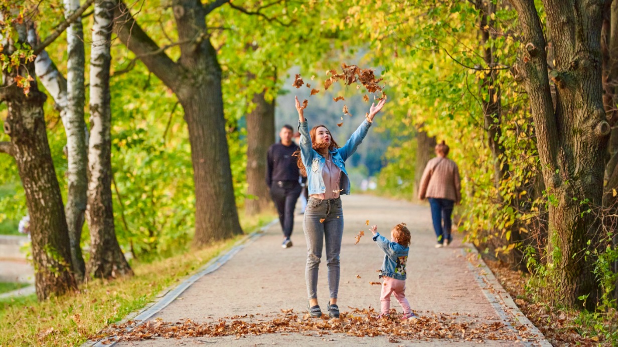 Молодежный парламент Москвы подготовил подборку локаций для осенних прогулок и активного отдыха