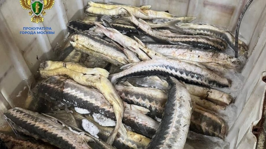 Продавцы запрещенной к вылову рыбы получили пять лет колонии условно