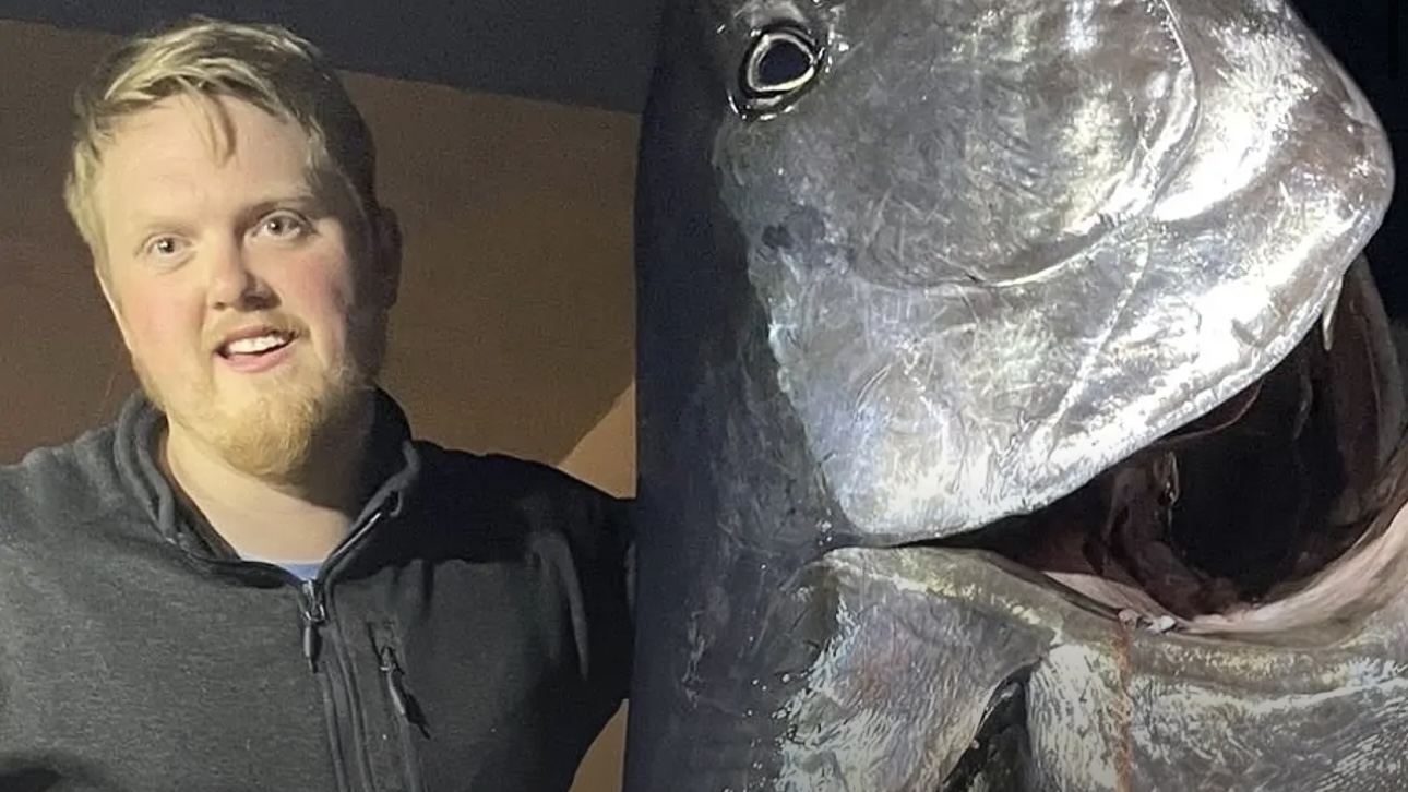 Мужчина из Норвегии поймал 280-килограммового голубого тунца