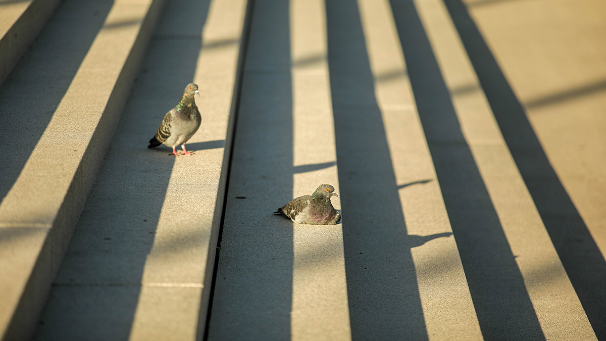Рекорд высокого атмосферного давления 50-летней давности побит в Москве