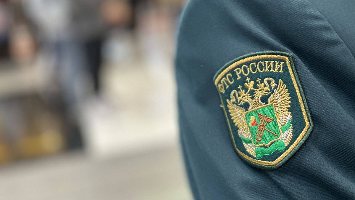Таможенники пресекли ввоз в Россию 700 кг санкционного украинского шоколада