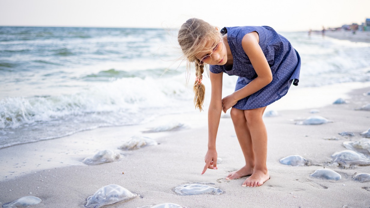 Укус португальского кораблика: опасность, ожоги