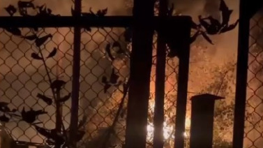 Пожар произошел в Новосибирском зоопарке, некоторые животные погибли