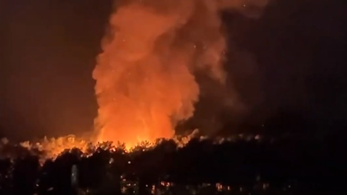 Появились кадры чудовищного пожара в Новосибирском зоопарке