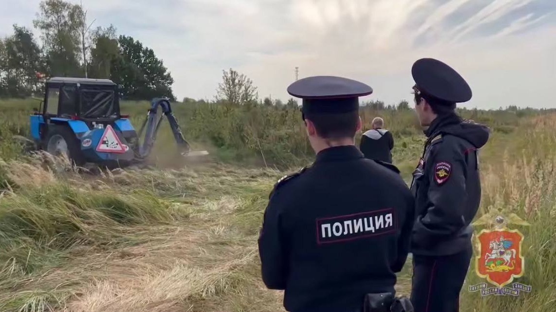 Полицейские ликвидировали плантацию дикорастущей конопли в Подмосковье