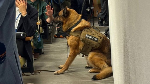 Захарова рассказала о собаке, которая охраняла пресс-конференцию Лаврова в ООН