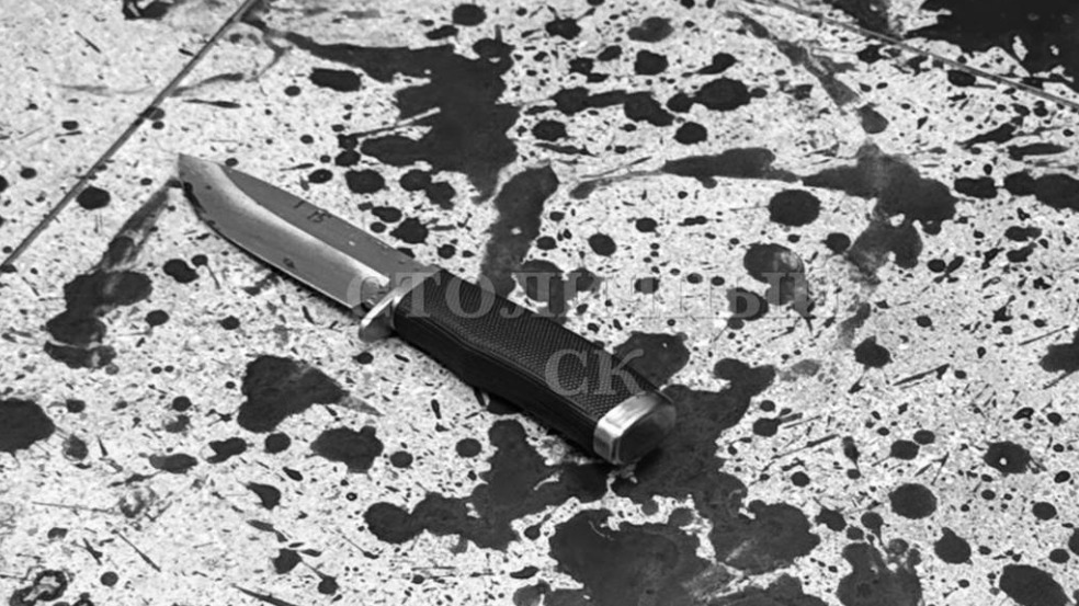 Против мужчины, зарезавшего свою начальницу в банке в Москве, возбудили дело