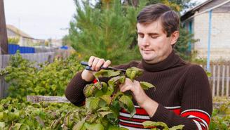 Что нужно сделать на дачном участке до наступления холодов