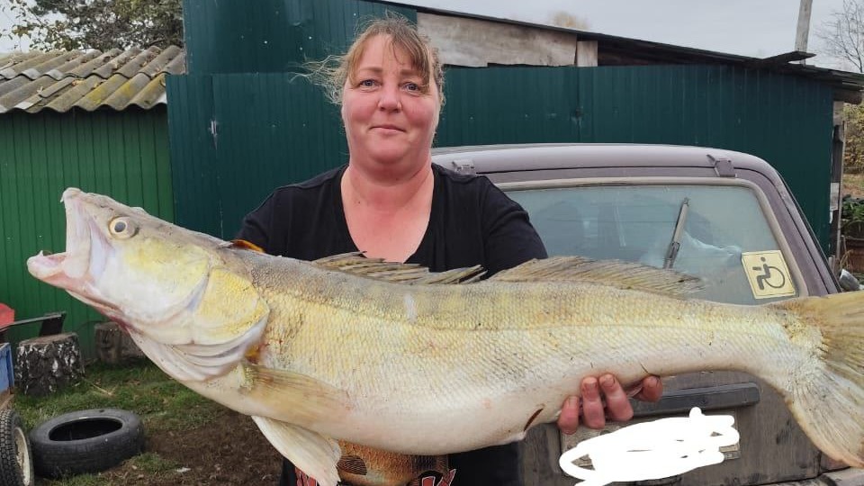 Жительница Тюменской области поймала гигантского судака весом девять килограммов