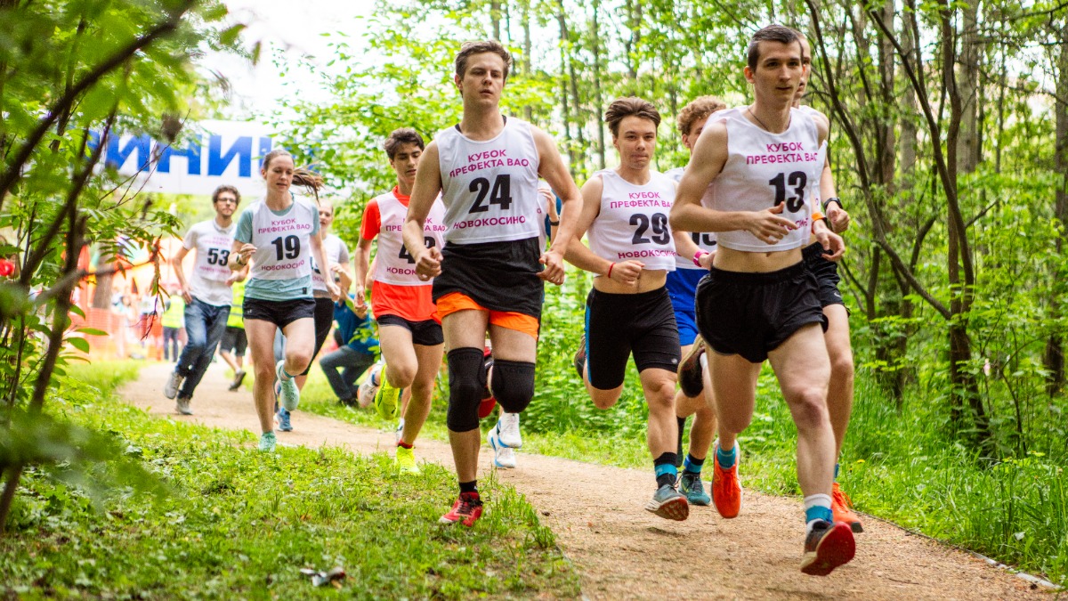 Соревнования по спортивному ориентированию для детей и взрослых проведут в Измайловском парке