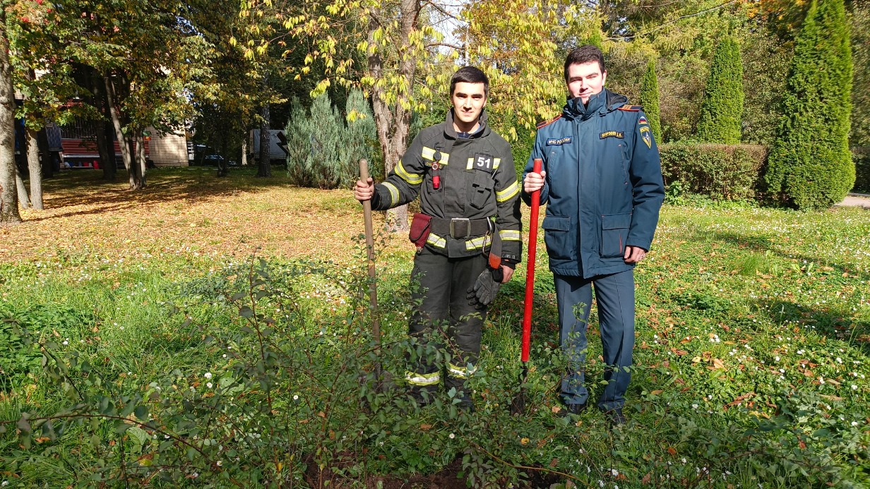 Сотрудники Управления МЧС Северного округа младший сержант внутренней службы Усман Гаршаев и сержант внутренней службы Денис Мирзоев высадили кустарники в Геронтологическом центре «Левобережный»