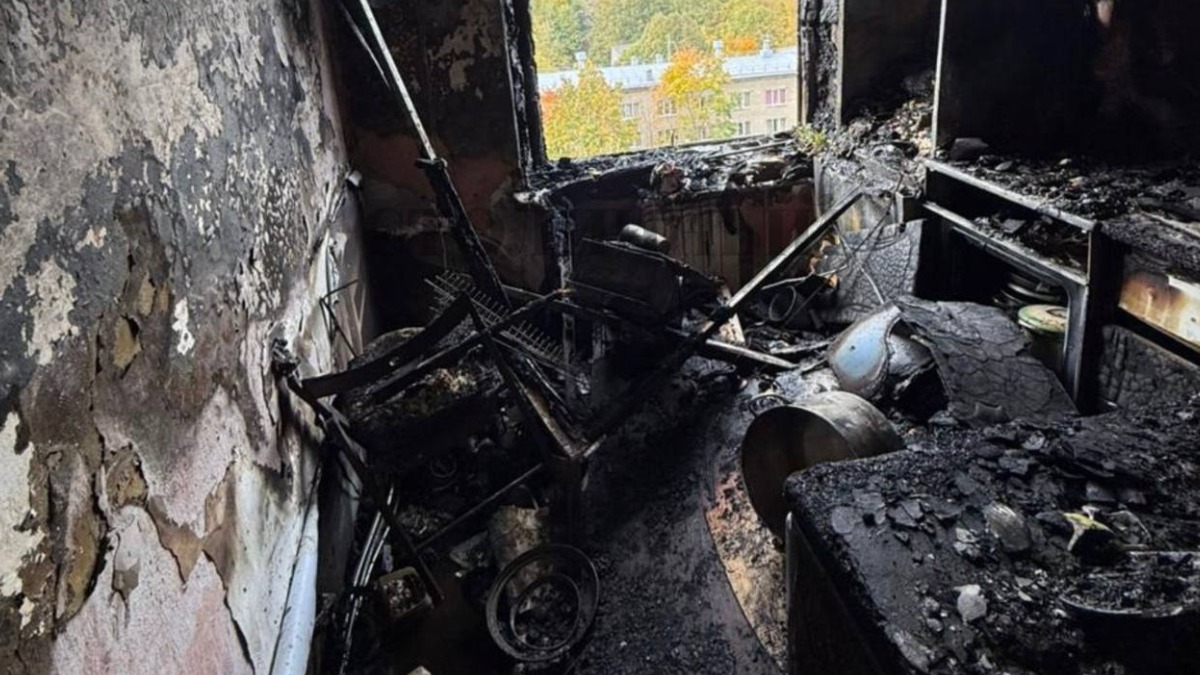 Один человек погиб в результате пожара в доме на юге Москвы