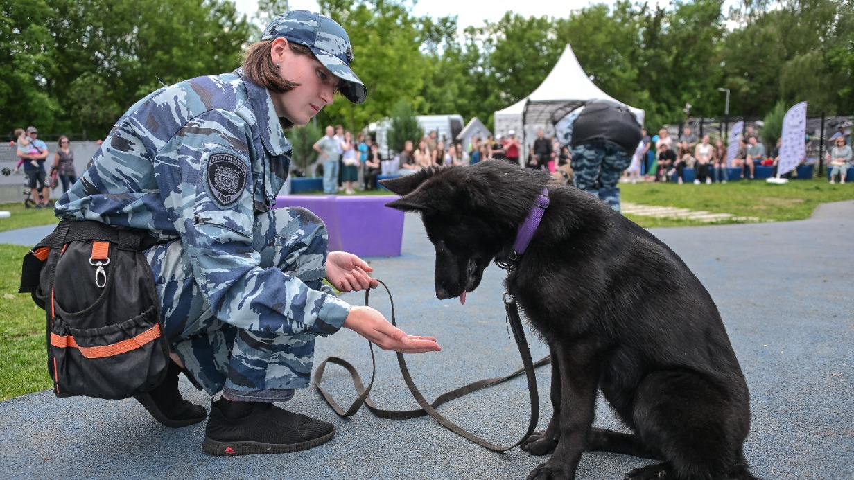 Сергунина: Жители столицы назвали любимые форматы программы «Друг, спасатель, защитник»