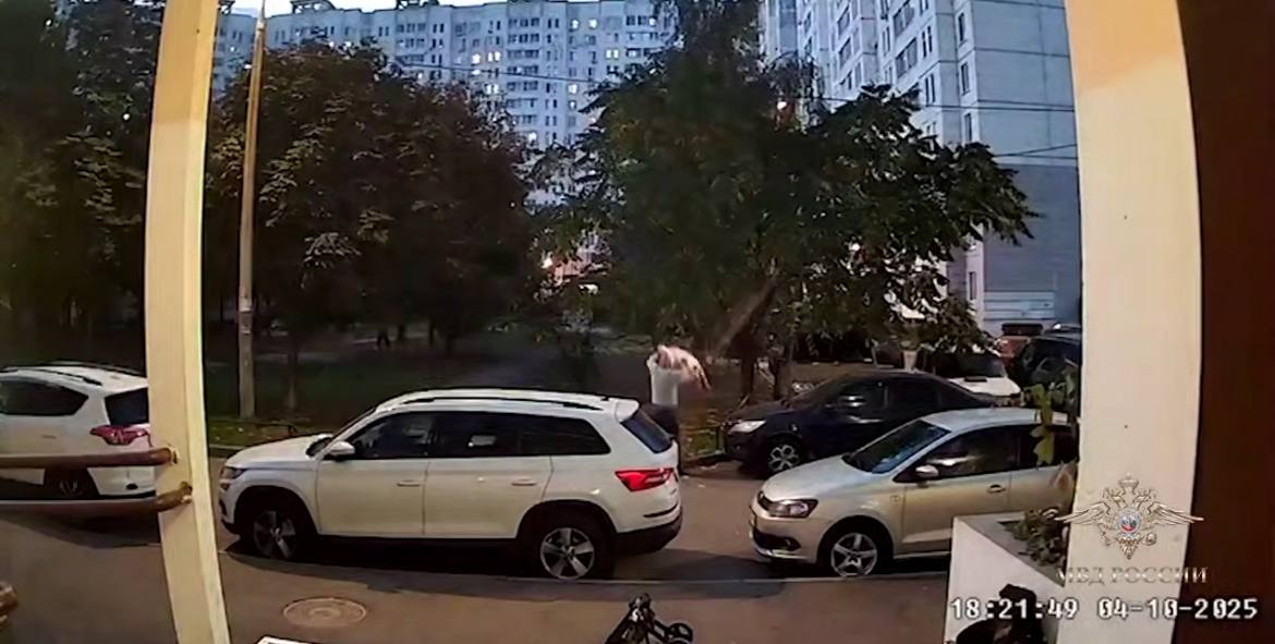 Полицейские задержали мужчину, который жестоко избил собаку-инвалида в Подольске